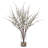 Silk Quince Arrangement in Vase