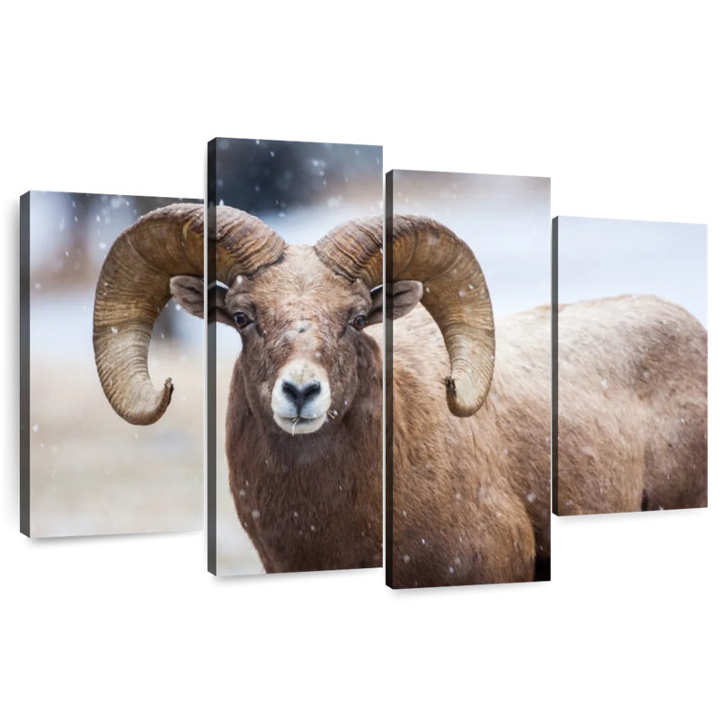 Brampt Bighorn Sheep, 27" H x 43" W