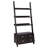 Alyssya Ladder Storage Bookcase