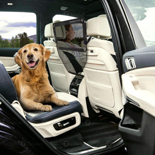 Enclos pour chien