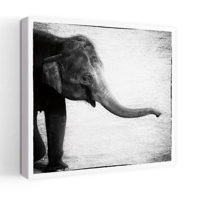 Éléphant II, art contemporain éléphant