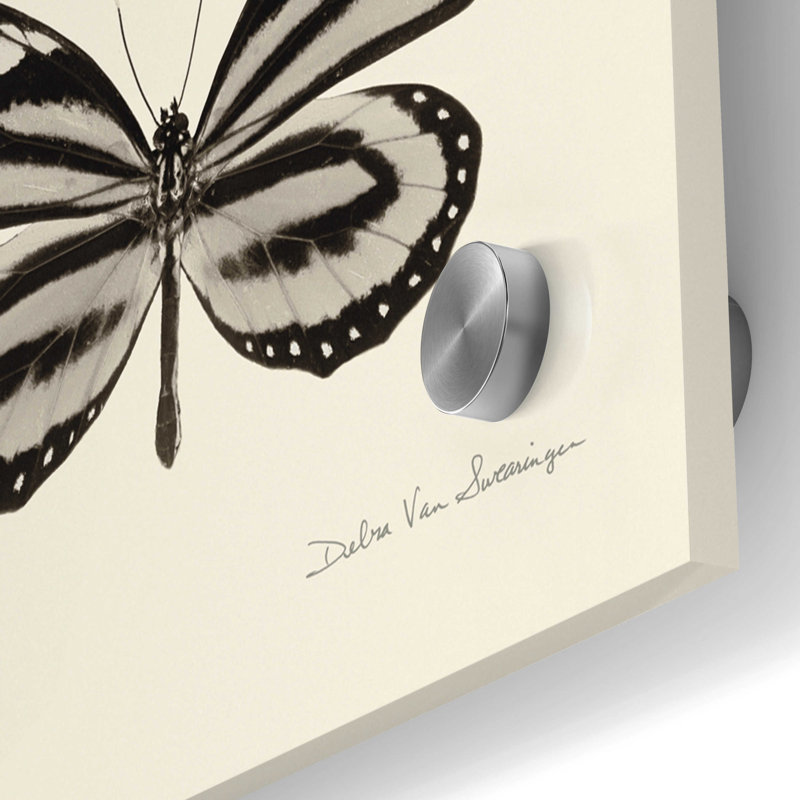 «Butterfly BW 9 Patch» par Debra Van Swearingen - impression sans cadre, H 36 po x l 36 po x P 0,2 po