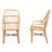 Jaylin Windsor Back Rattan Arm Chair Dining Chair