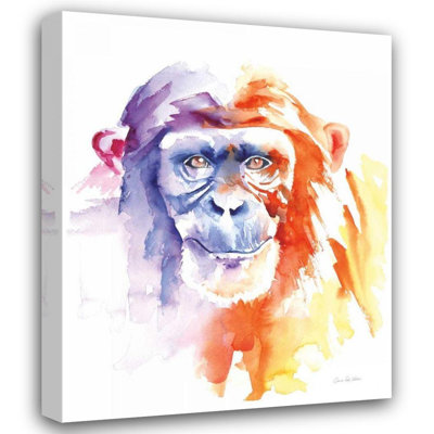 Dakota Fields Del Valle, Aimee Gallery Wrapped Canvas Art Titled: Chimpanzee II