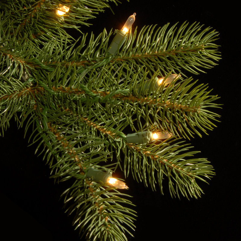 Downswept Douglas Green Fir Artificial Christmas Tree with Color + Clear Lights, 12'