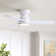32'' Small Ceiling Fan With Light Kit & Remote
