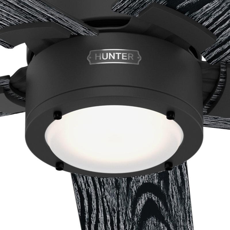 Erling Matte Black 52" Ceiling Fan with LED Light and Remote