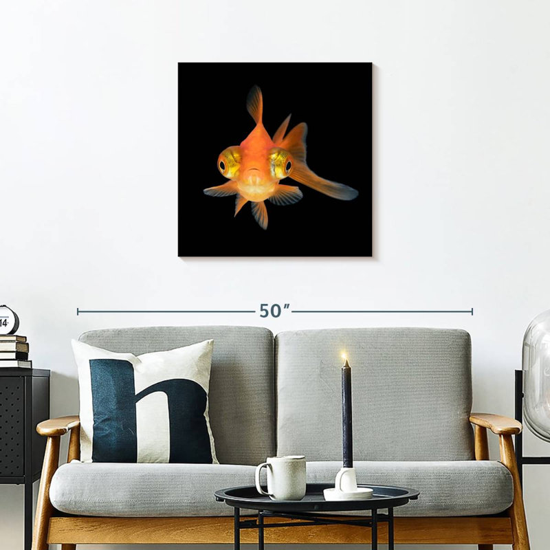 Crowle Telescope Eye Goldfish