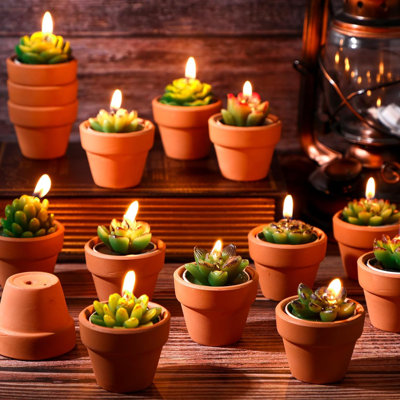 Ensemble de 36 bougies chauffe-plat Cactus