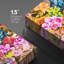 Flower Blossom " Rainbow Neon Desert Succulent Flowers Floral Photography Botanical Zen Rustic Colourful Decor "-99543026