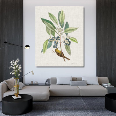 Art Direct Catesby, Mark, reproduction d'art sur toile tendue, Études dans la nature IV