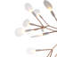 Heracleum III The Big O LED Chandelier-93498973-48365292-94915071