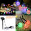 Guirlande de 30 ampoules DEL Heitman
