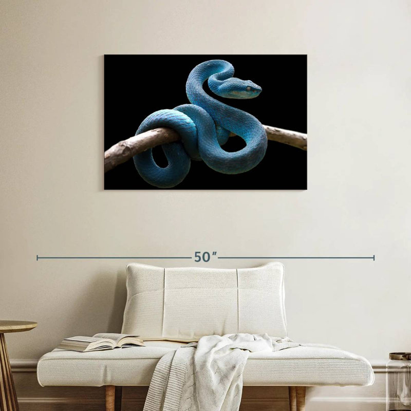 Brampt Blue Viper Snake, 24" H x 36" W