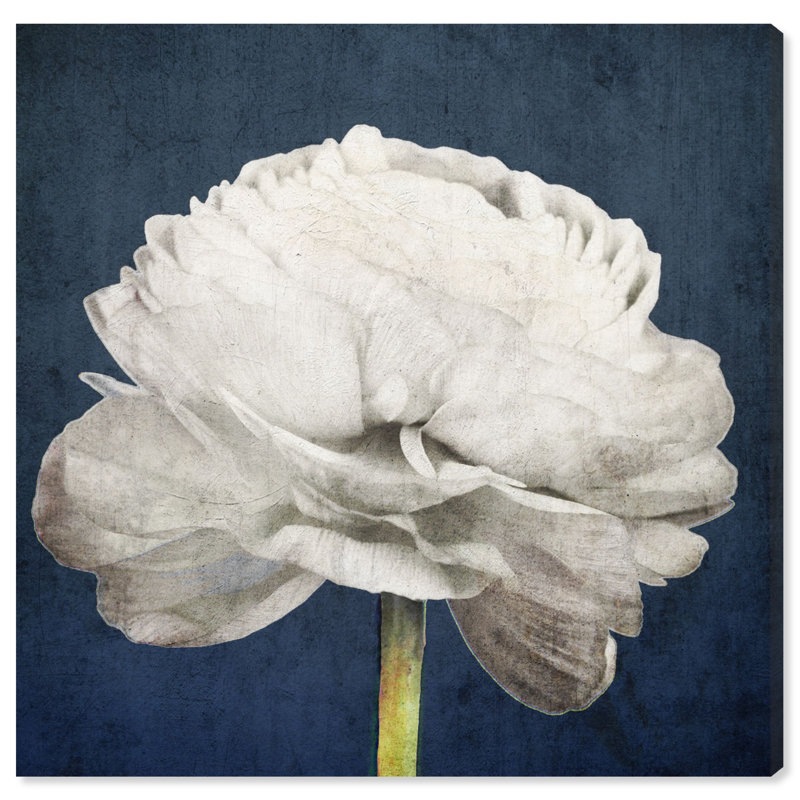 Barroso " Floral And Botanical Pretty View, Modern & Contemporary White " by Oliver Gal, 30" H x 30" W, Wrapped Canvas