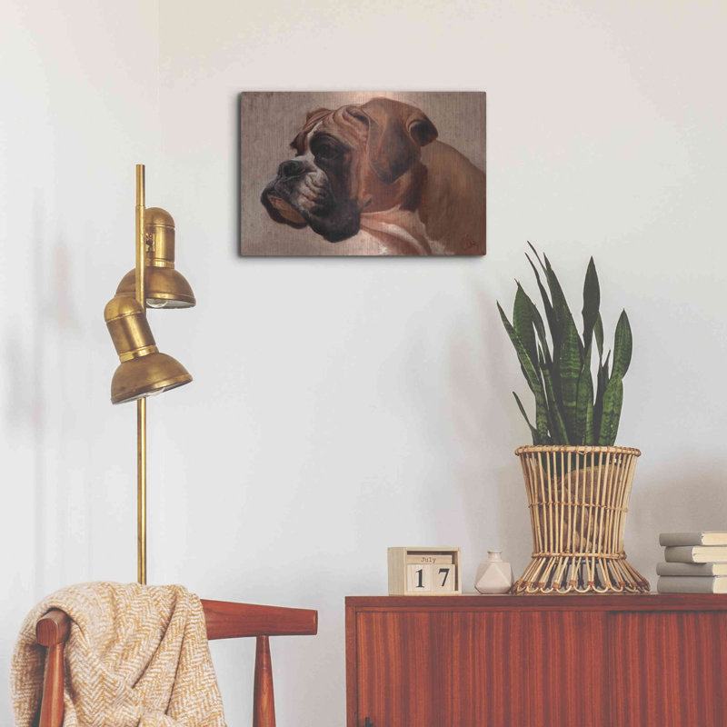 «Boxer» par Thomas Fluharty, H 16 po x l 24 po