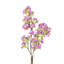 Tige de fleur de lilas artificielle-782481685