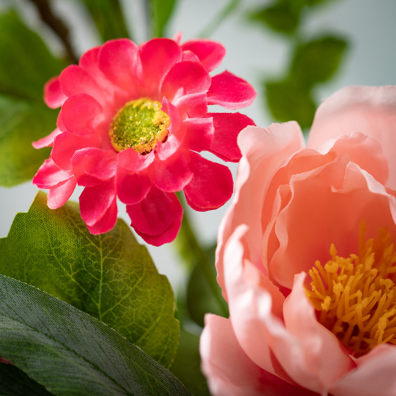 Jets mélangés à fleurs vibrantes