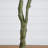 6Ft. Autumn Sumac Artificial Fall Tree