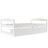 Modern Eleanora Twin Daybed-735598581