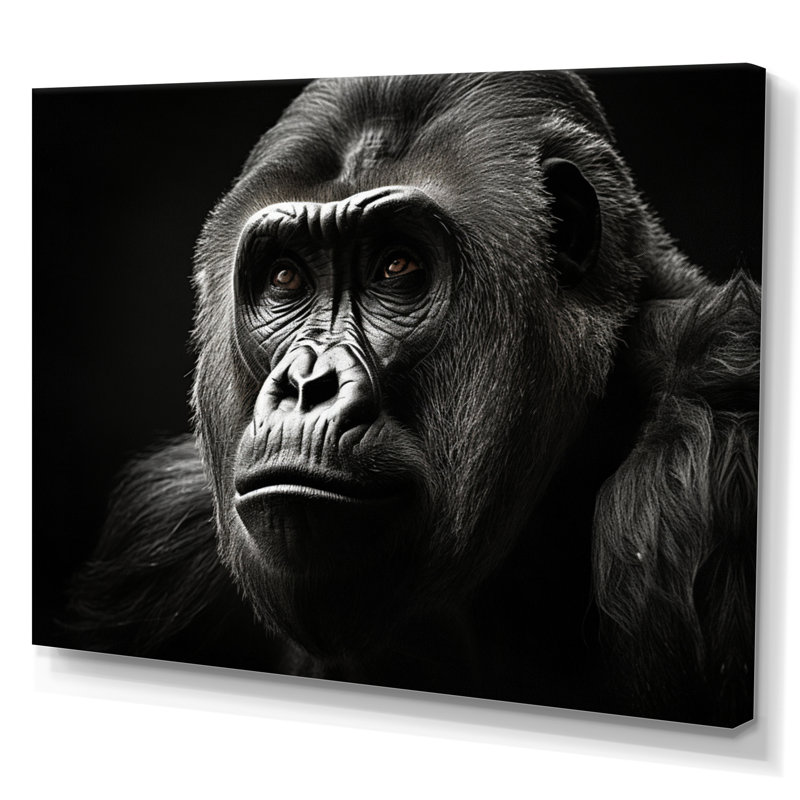 «Black and White Gorilla Majestic I» sur toile, H 16 po x l 32 po x P 1 po, Toile tendue