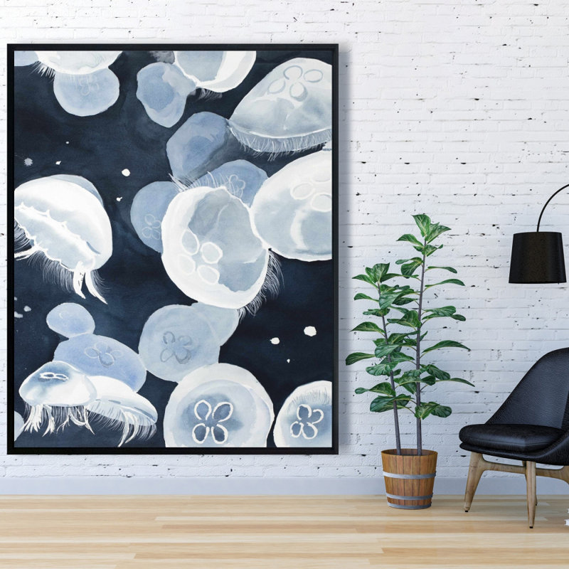 " Jellyfishs "