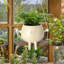 Jardinières suspendues pour plantes d'intérieur Swinging