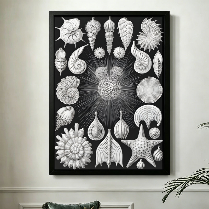 Microorganismes marins modernes et abstraits: illustrations détaillées de diverses formes planctoniques, style d'art monochrome haute définition. Toile encadrée 24 "x 36" avec cadre en bois noir