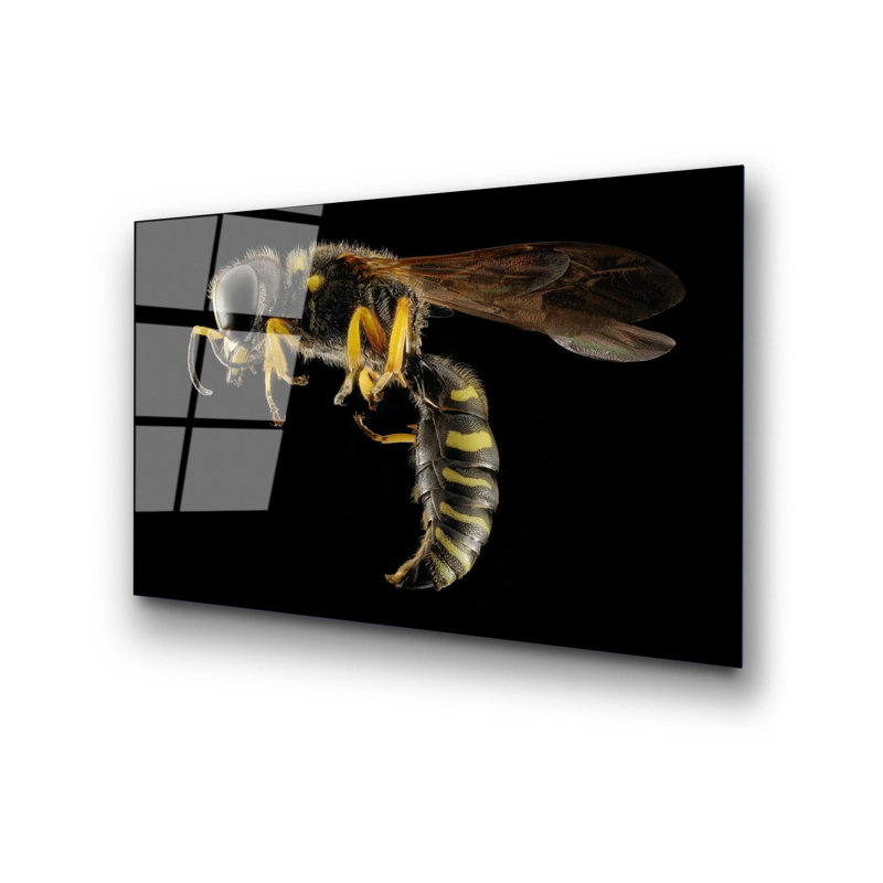 Boze Wall Decor
