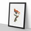 A King Bird Of Paradise by Jacques Barraband - Single Picture Frame Painting-55453508-55453505