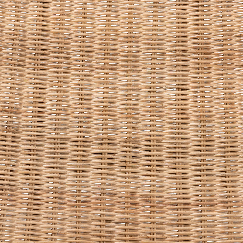 Beyonca 26.4" W Rattan Lounge Chair