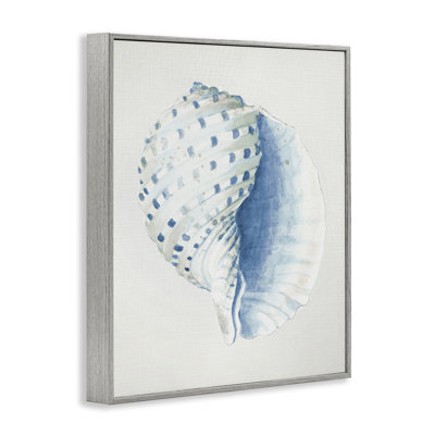 Spotted Conch Shell Giclee Art by Patricia Pinto