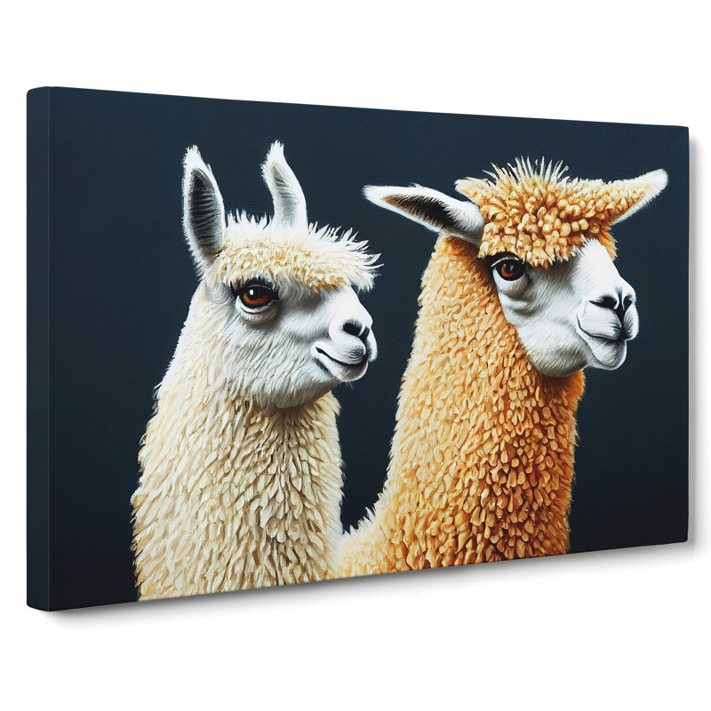 Enthralling Llamas - Wrapped Canvas, 35cm H x 50cm W x 3cm D
