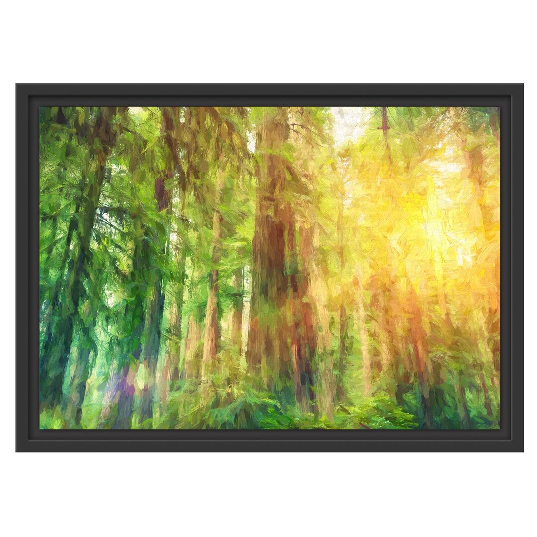 Gerahmtes Wandbild Wald bei Sonnenlicht Kunst