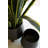  Decorative Iron Planters with Legs – 17" Tall Set of 2
