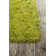 Tapis vert area Baptista