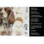 Serviette de cuisine Coffee Bar-1234934675