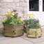 Wood Planter Box
