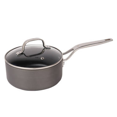 https://assets.wfcdn.com/im/22003716/resize-h380-w380%5Ecompr-r70/2135/213597817/Non-Stick+Stainless+Steel+Saucepan+with+Lid.jpg