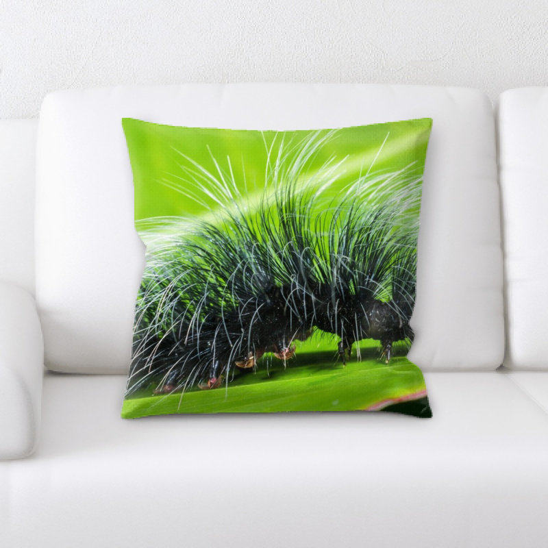 Coussin chenille