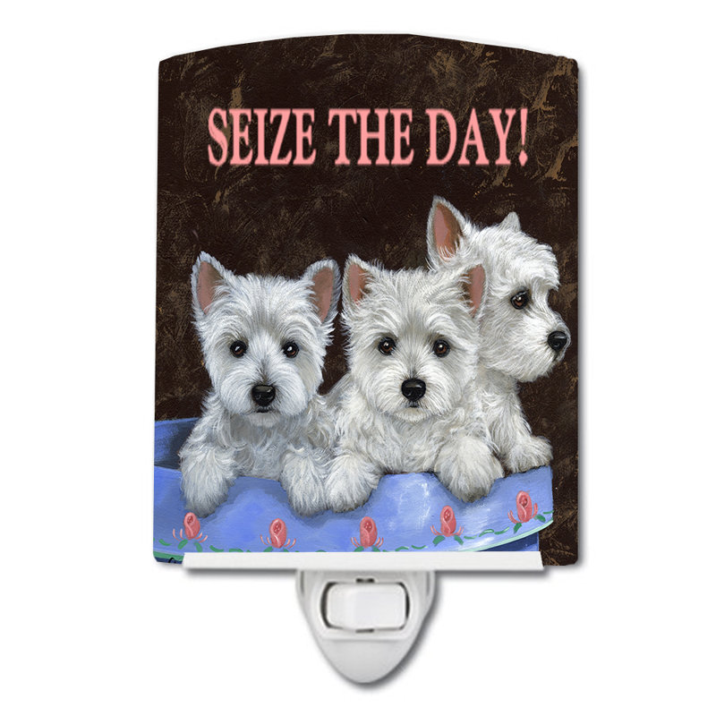 Veilleuse Westie, Westie profite de l'occasion