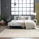 Solid Color Machine Woven Polypropylene Shag Area Rug