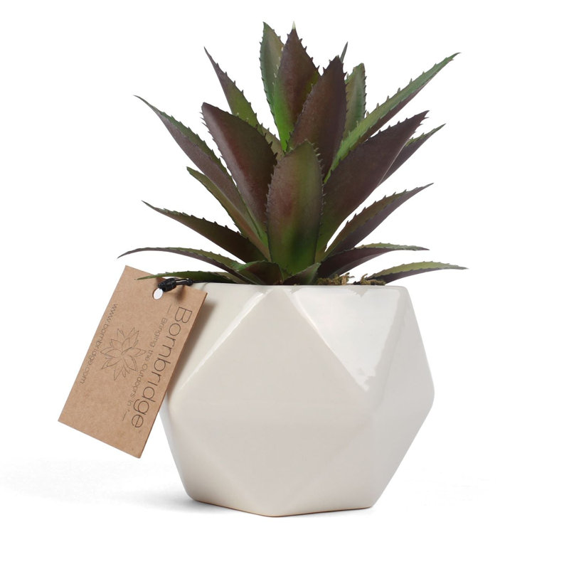 2.75" Artificial Bromeliad Succulent in Planter