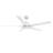 Essex Smart 5 - Blade LED Ceiling Fan with Remote Control Light Kit, Downrod-12258524-12258526