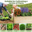 Boîte à fleurs surélevée avec base ouverte pour légumes à racines profondes-1057525087
