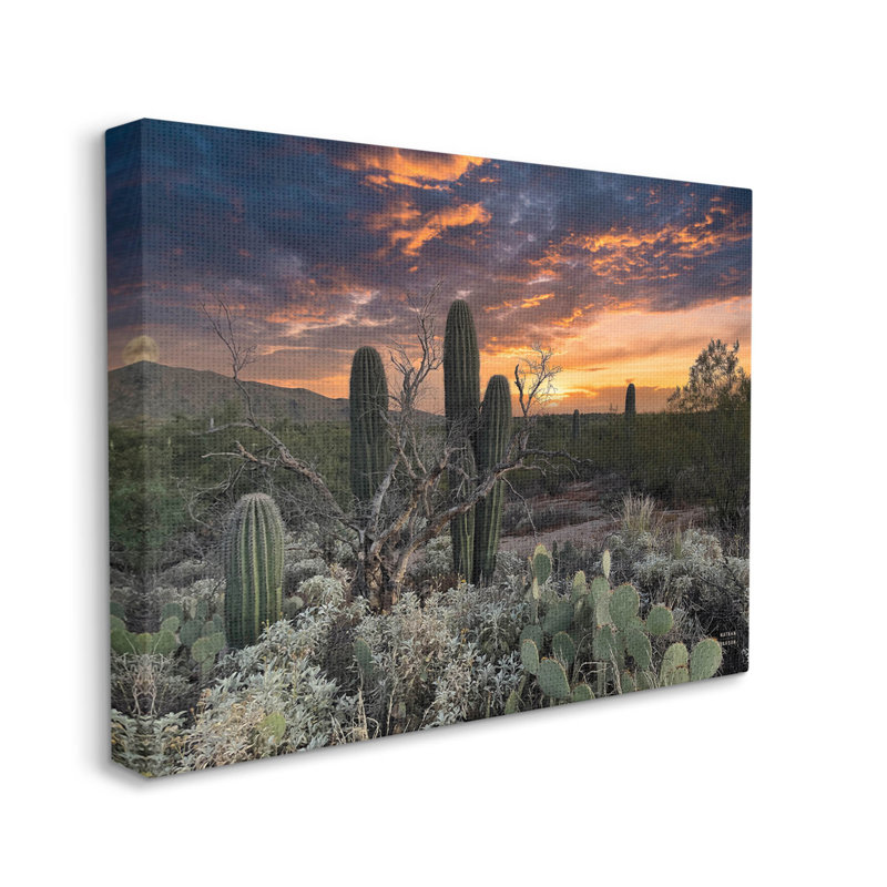 Cactus aride du désert - Photographie sur toile tendue, H 24 po x l 30 po x P 1,5 po