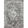 Raghdah Oriental Gray Area Rug
