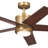 Bhram 48'' Ceiling Fan with LED Lights