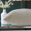 Izaro 100% Cotton Envelope Sham-56125633