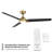 60'' Ceiling Fan with LED Lights-83109188